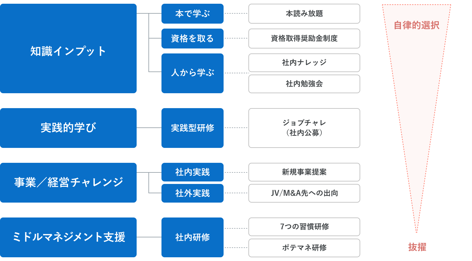 学びの制度を4つの軸で整理した図。知識インプット、実践的学び、事業・経営チャレンジ、ミドルマネジメント支援の各軸ごとに、本で学ぶ・資格取得・社内ナレッジ、実践型研修、社内外実践、各種研修制度などの具体的な取り組みが配置され、右側には自律的な選択と成長の抜擢につながる流れが示されている。