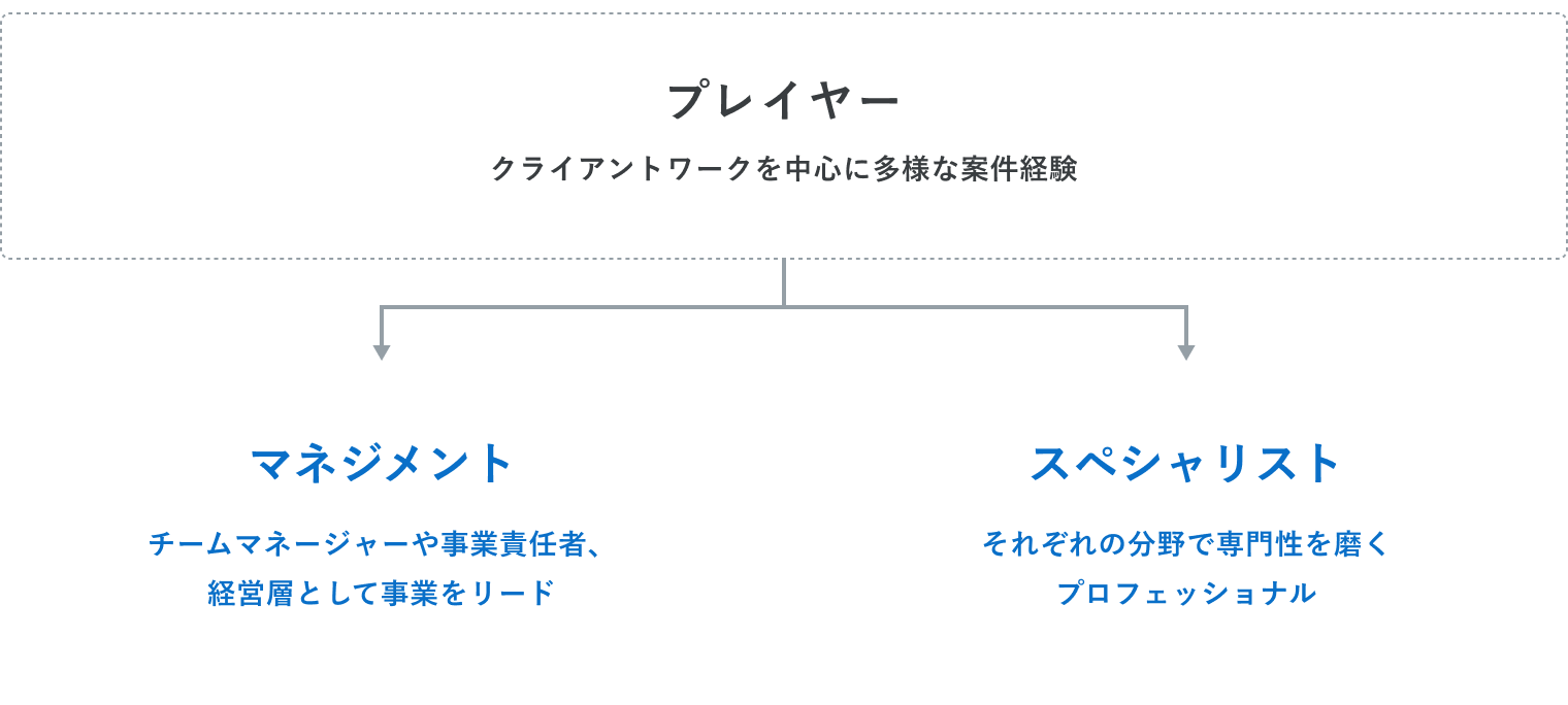 プレイヤーのキャリアの方向性を示す図。クライアントワークを中心に多様な案件経験を積んだ上で、進路として『マネジメント（チームマネージャーや事業責任者として事業をリード）』と『スペシャリスト（各分野で専門性を磨くプロフェッショナル）』の2つに分かれることを示している。